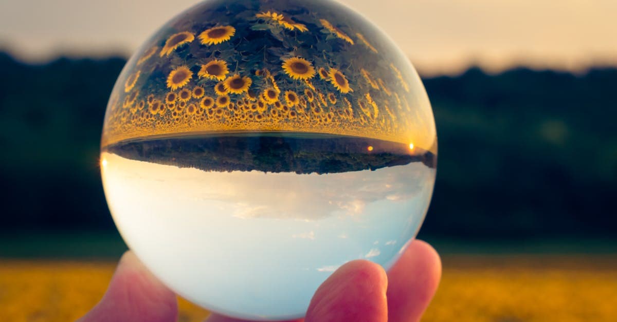 ตรวจหวยออนไลน์ ผลหวยงวด 1 มีนาคม 2569 รางวัลที่ 1 คือ 820866